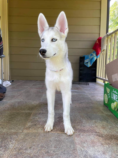 Eugenio x The Giving Keys #Breakthrough